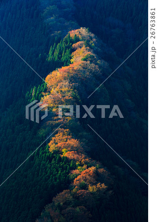 秋のナメゴ谷 秋のナメゴ谷 26763861