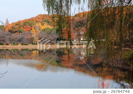 三ツ池公園　下の池紅葉 26764749