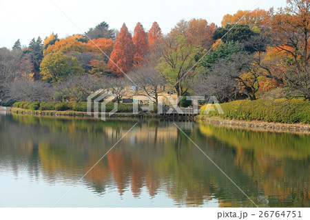 三ツ池公園 中の池紅葉 三ツ池公園 中の池紅葉 26764751