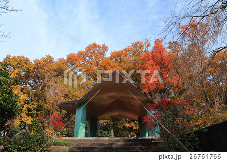 三ツ池公園紅葉 26764766