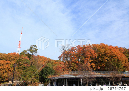三ツ池公園紅葉と三ツ池タワーの写真素材