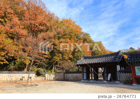 三ツ池公園コリア庭園の紅葉 三ツ池公園コリア庭園の紅葉 26764771