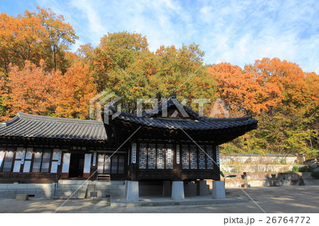 三ツ池公園コリア庭園の紅葉 26764772