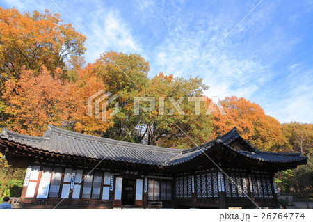 三ツ池公園コリア庭園の紅葉 26764774