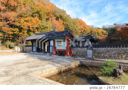 三ツ池公園コリア庭園の紅葉 26764777