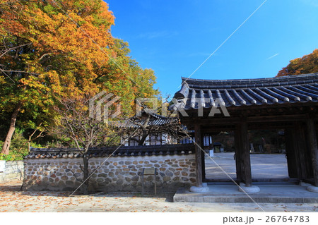 三ツ池公園コリア庭園の紅葉 三ツ池公園コリア庭園の紅葉 26764783