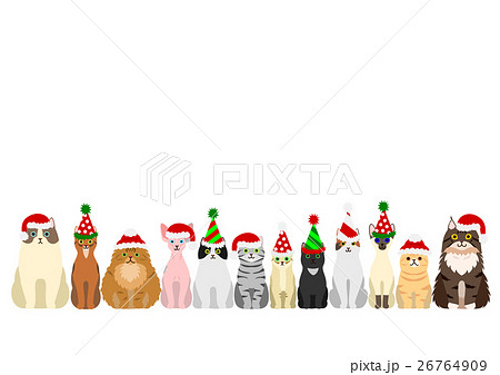 猫のボーダーのセット　クリスマス 26764909