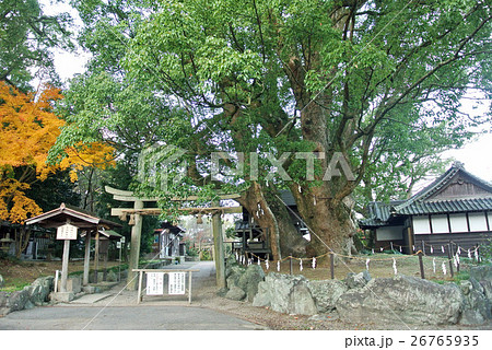 熊野古道 藤白王子 熊野古道 藤白王子 26765935