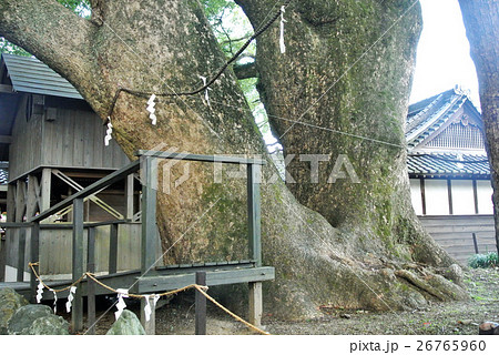 熊野古道 藤白王子 熊野古道 藤白王子 26765960