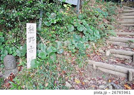 熊野古道　藤白坂 26765961
