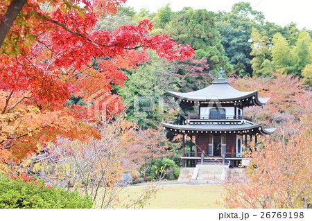 勧修寺 勧修寺 26769198