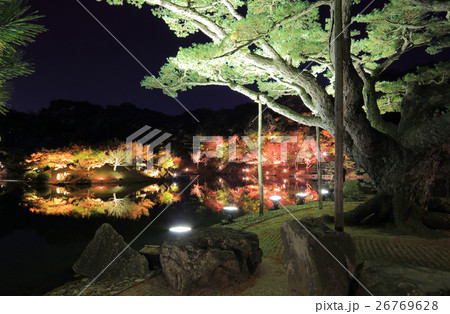 特別名勝「栗林公園」ライトアップされた紅葉の南湖（楓嶼と楓岸と根上り五葉松） 26769628