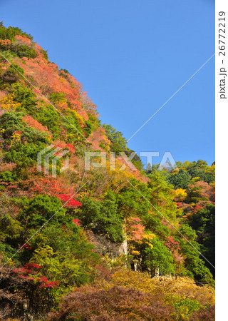 香落渓の紅葉 26772219