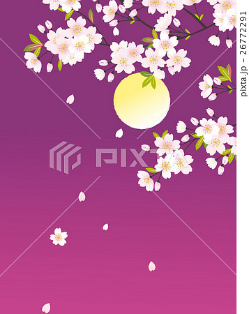 夜桜 イラストのイラスト素材 26772291 Pixta