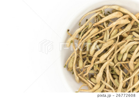 紅茶用ハニーサックル:Honeysuckle tea 紅茶用ハニーサックル:Honeysuckle tea 26772608