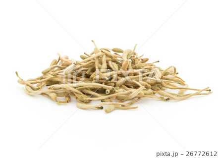 紅茶用ハニーサックル：Honeysuckle tea 26772612
