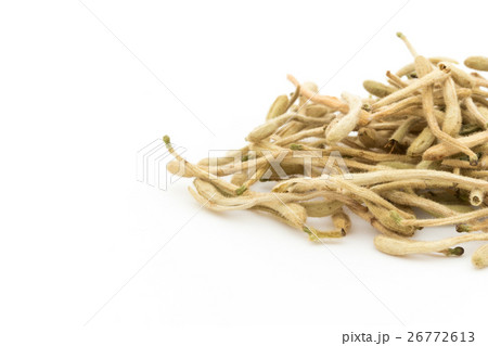 紅茶用ハニーサックル:Honeysuckle tea 紅茶用ハニーサックル:Honeysuckle tea 26772613