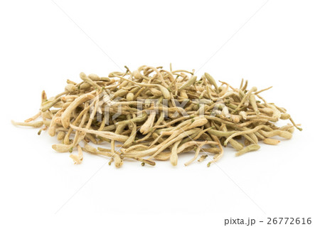 紅茶用ハニーサックル：Honeysuckle tea 26772616
