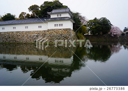 彦根城 堀と城壁 彦根城 堀と城壁 26773386