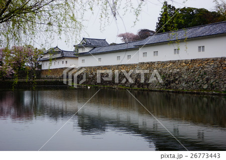 彦根城 堀と城壁 彦根城 堀と城壁 26773443