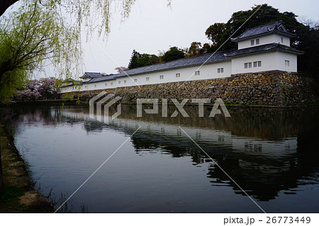 彦根城 堀と城壁 彦根城 堀と城壁 26773449