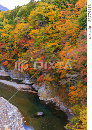 栃木県日光市　栗山地域からの鬼怒川の紅葉（11月） 26774118