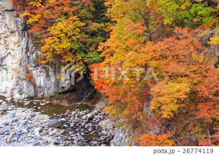 栃木県日光市　栗山地域からの鬼怒川の紅葉（11月） 26774119