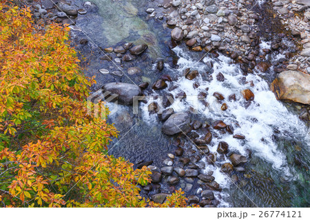 栃木県日光市 栗山地域からの鬼怒川の紅葉(11月) 栃木県日光市 栗山地域からの鬼怒川の紅葉(11月) 26774121
