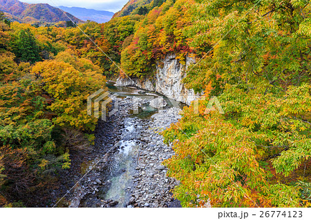 栃木県日光市　栗山地域からの鬼怒川の紅葉（11月） 26774123