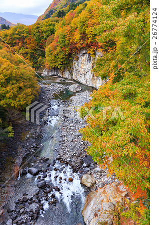 栃木県日光市 栗山地域からの鬼怒川の紅葉(11月) 栃木県日光市 栗山地域からの鬼怒川の紅葉(11月) 26774124