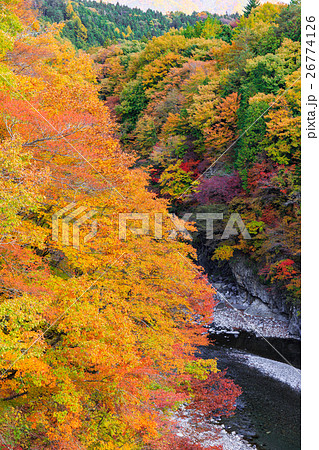 栃木県日光市　栗山地域からの鬼怒川の紅葉（11月） 26774126