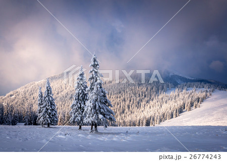 landscape landscape 26774243