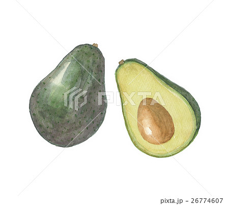 アボカド 26774607