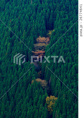 秋のナメゴ谷 26774641