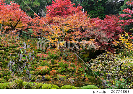 紅葉、金剛輪寺にて 26774863