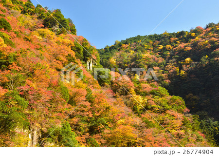 香落渓の紅葉の写真素材