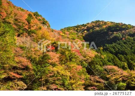 香落渓の紅葉 香落渓の紅葉 26775127