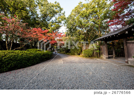 九州への旅、黒田家六代藩主が別荘としていた「友泉亭」の風景を、ご紹介いたします。 26776566