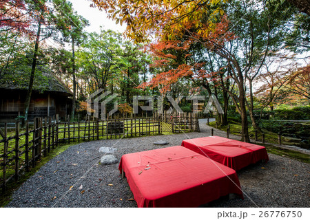 九州への旅、黒田家六代藩主が別荘としていた「友泉亭」の風景を、ご紹介いたします。 九州への旅、黒田家六代藩主が別荘としていた「友泉亭」の風景を、ご紹介いたします。 26776750