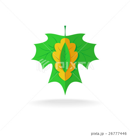 Maple, oak and ash tree leaves logo 26777446