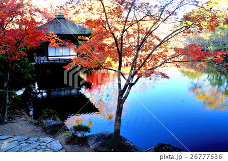 紅葉の紅葉渓庭園 26777636