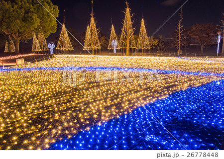 木曽三川公園 夕暮れとイルミネーション 冬の光物語 木曽三川公園 夕暮れとイルミネーション 冬の光物語 26778448
