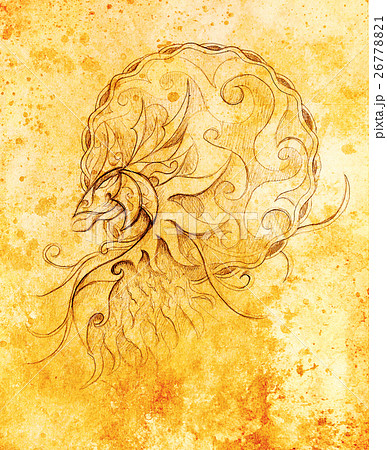 drawing of ornamental animal on old paper drawing of ornamental animal on old paper 26778821
