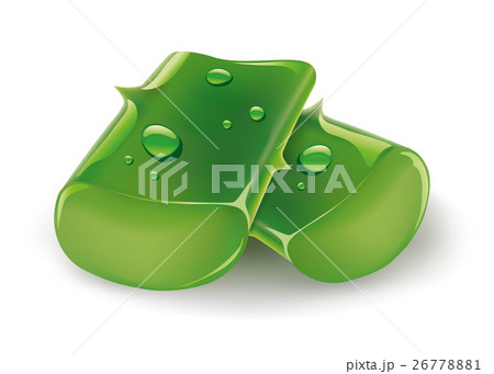 aloe vera with fresh drops of water 26778881