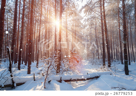 Fantastic landscape glowing by sunlight. Natural 26779253