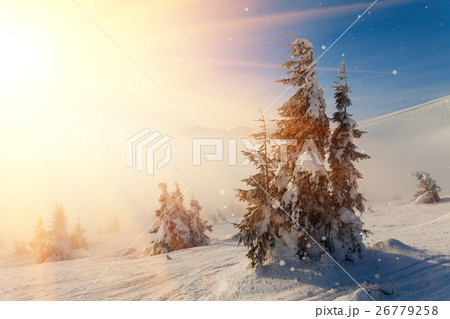 Fantastic landscape glowing by sunlight. Natural 26779258