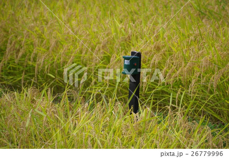 防鳥アラーム 田の鳥追いセンサー 防鳥アラーム 田の鳥追いセンサー 26779996