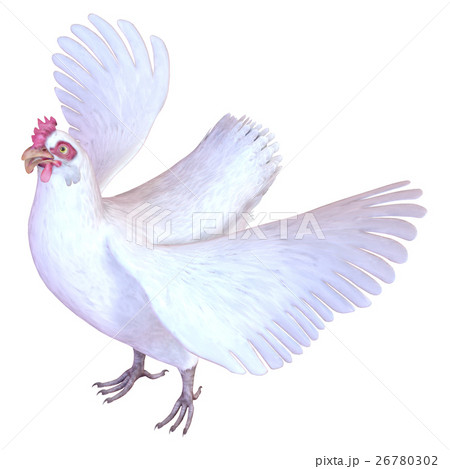 ニワトリ 26780302