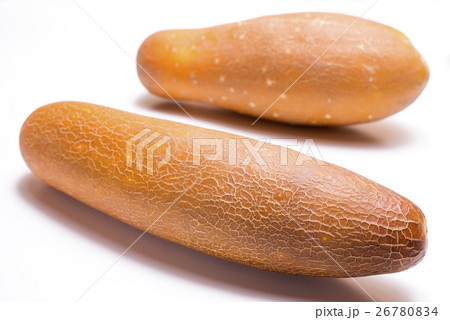 白バックの赤毛瓜の実 26780834