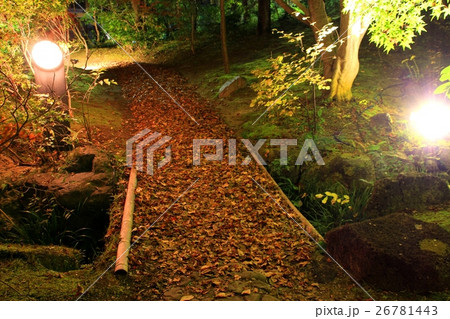 けいはんな記念公園ライトアップ けいはんな記念公園ライトアップ 26781443